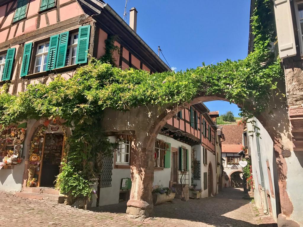 Les Authentics - La Maison d'Amélie Riquewihr Esterno foto