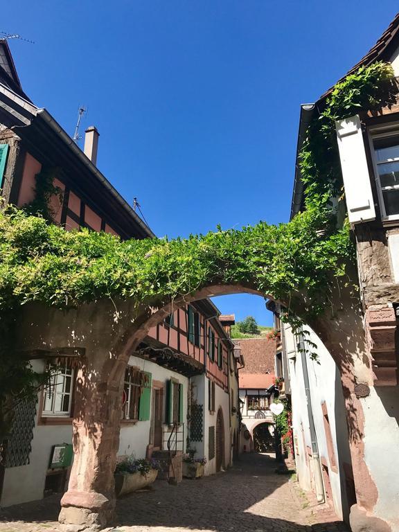 Les Authentics - La Maison d'Amélie Riquewihr Esterno foto