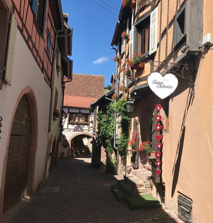 Les Authentics - La Maison d'Amélie Riquewihr Esterno foto